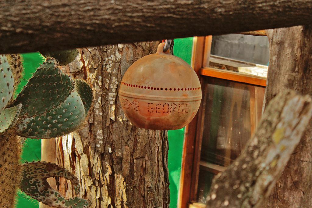 Lonesome George Ecolodge Пуерто Айора Екстериор снимка