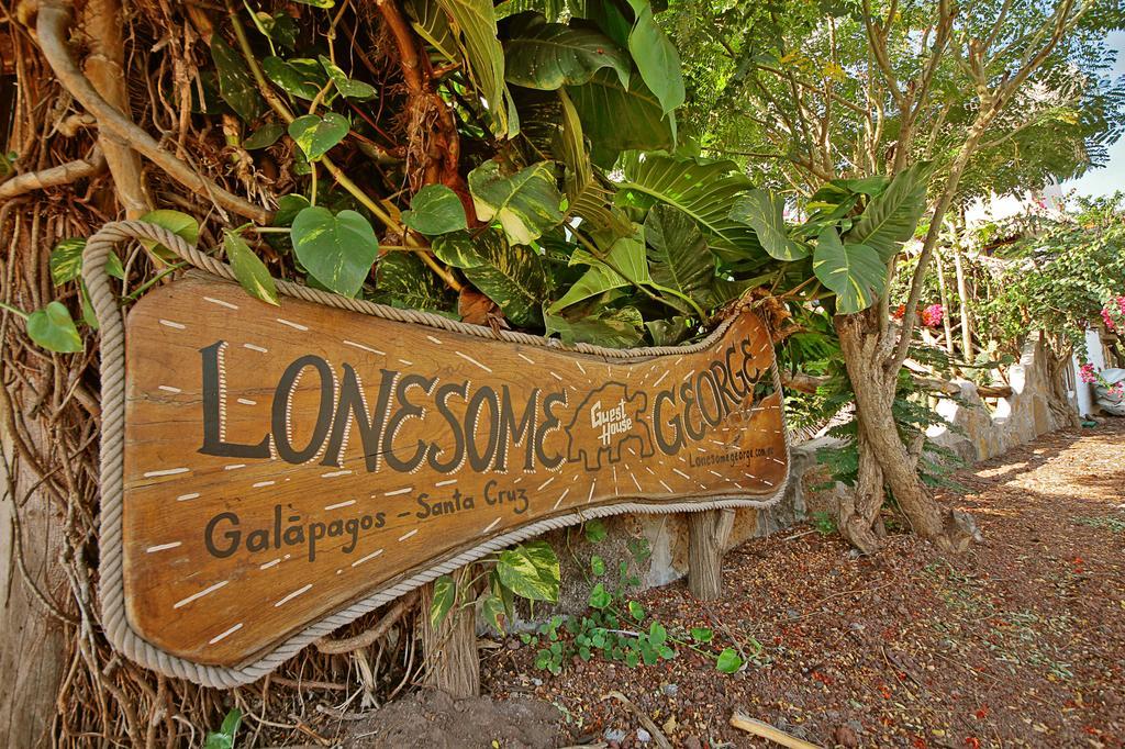 Lonesome George Ecolodge Пуерто Айора Екстериор снимка