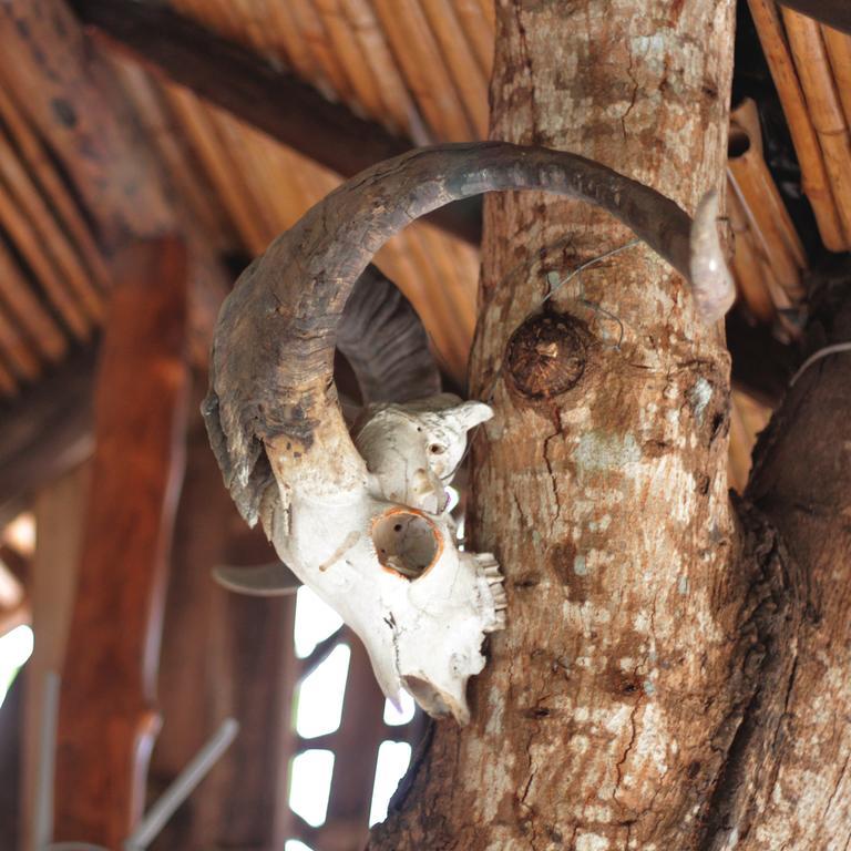 Lonesome George Ecolodge Пуерто Айора Екстериор снимка
